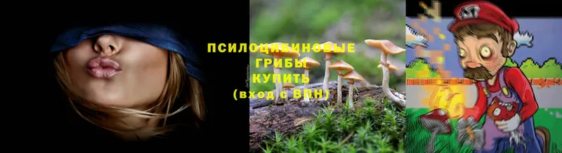 цены   нарко площадка официальный сайт  Псилоцибиновые грибы Cubensis  Владикавказ 